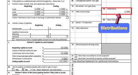 k-1 box 19 distributions 1120s freddie mac|k1 1065 box 19.